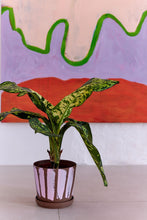 Lade das Bild in den Galerie-Viewer, LEISE UND LAUT
